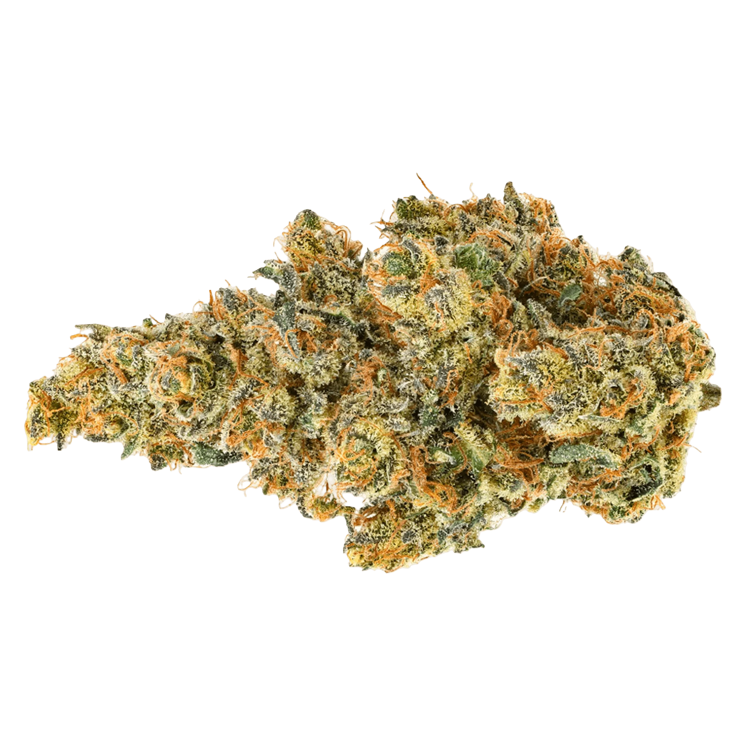 Coast Mountain Cannabis Organic Dancehall